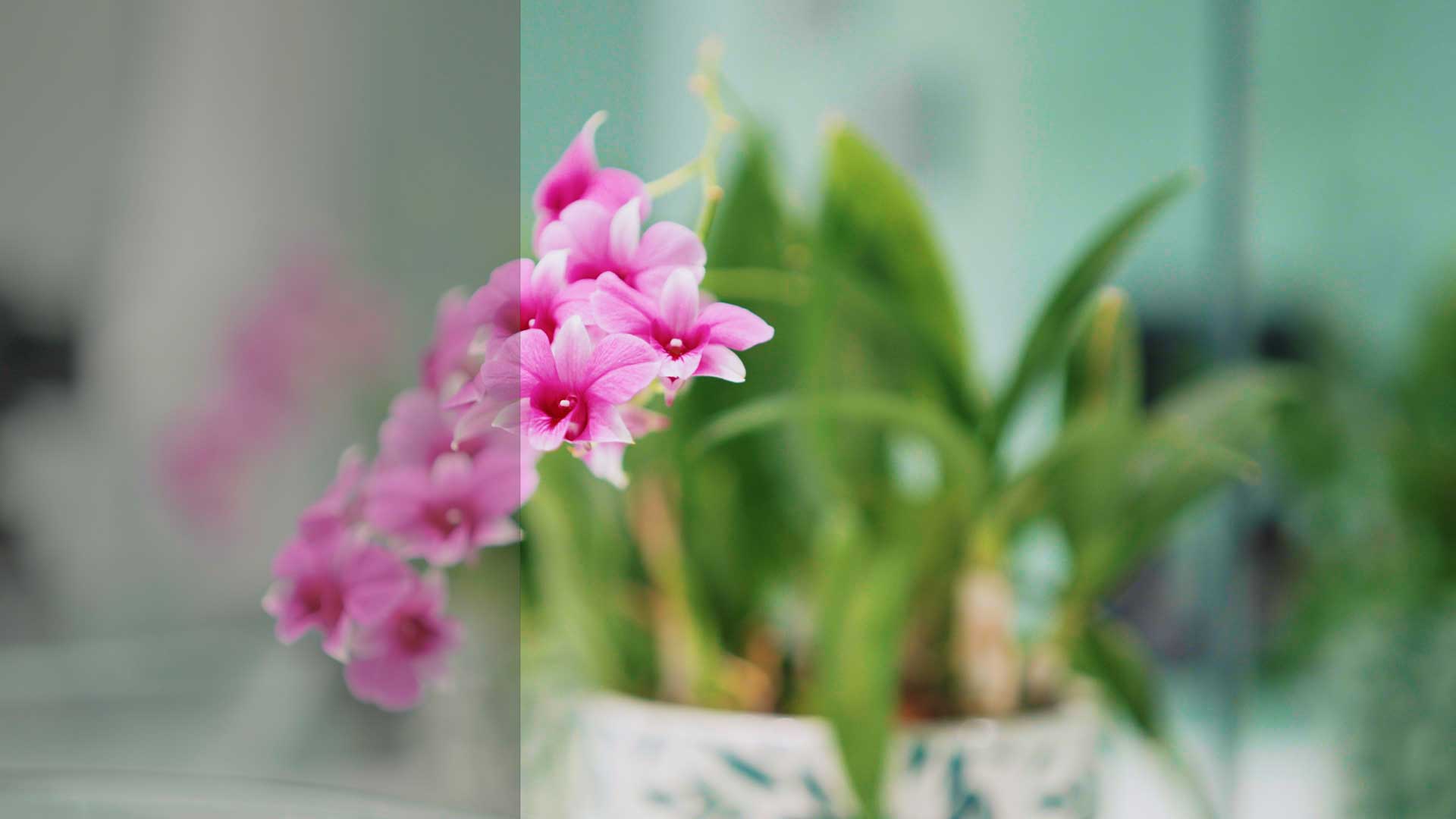 قوالب التلوين السنمائي (LUTs) - Image 7